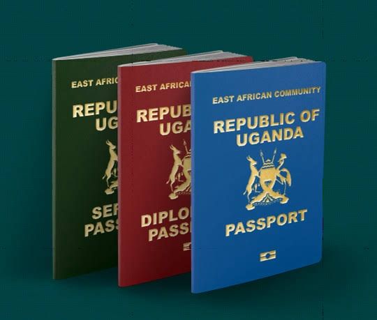 Travel insurance protection